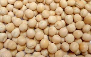 2021年1月25日全国部分地区加拿大白豌豆今日价格行情
