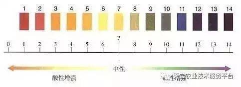 土壤pH值到底是啥？咋测？