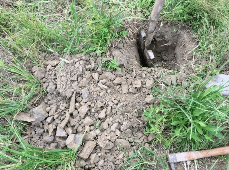 土壤板结总烂根，如何让板结的土壤疏松透气？