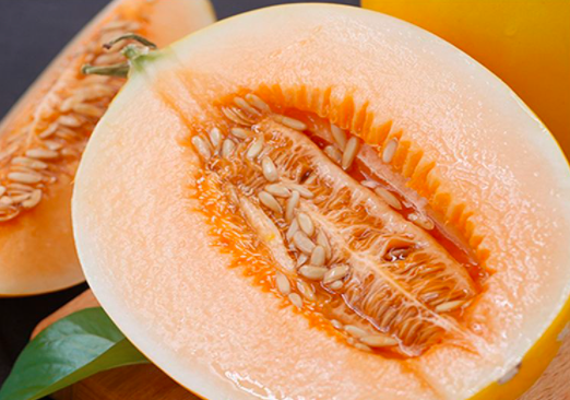 黄河蜜瓜是哪个季节的水果？