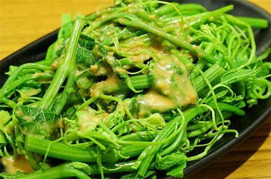 龙须菜是什么菜，野生名菜且营养价值高