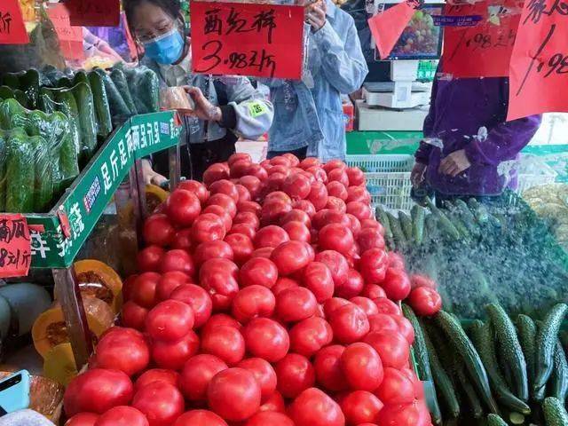 西红柿批量成熟，新发地批发价回落，未来是否会有大浮动？