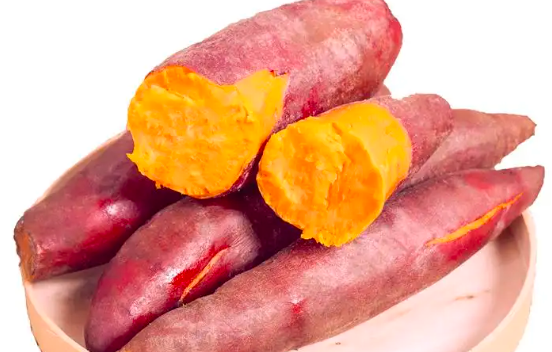 西瓜红红薯种植技术
