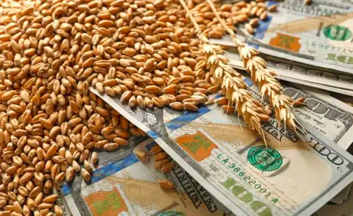 俄罗斯小麦价格上涨，出口步伐放缓