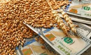 俄罗斯小麦价格上涨，出口步伐放缓