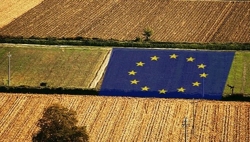 因小麦稀缺 德国农业部长呼吁欧盟共同农业政策允许例外