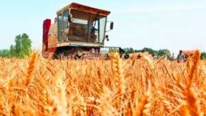 （芝加哥期市）CBOT小麦略微上涨，基准期约收高0.3%