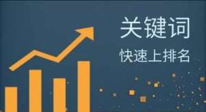 如何在seo优化中对关键词进行分类？