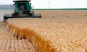 震荡摇摆，小麦还能冲得更高吗？