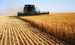 哈萨克斯坦计划下个月取消小麦出口限制