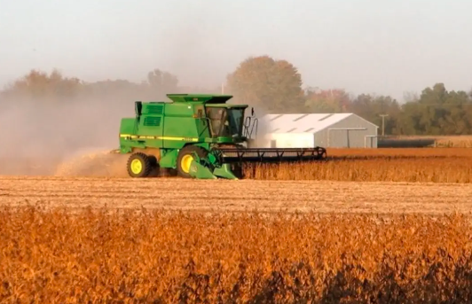 阿根廷政府考虑收紧小麦出口管制 因为作物枯萎