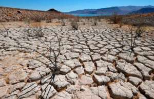 美国干旱加剧，2023年美国小麦产量不确定性上升