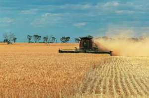 今年头10个月，澳大利亚小麦占到中国进口总量的63%