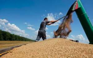 俄罗斯小麦聚焦：俄罗斯小麦出口价格继续下跌