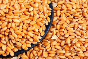 巴西可能在2022/23年度成为全球第十大小麦出口国