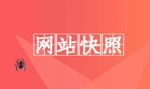 网站快照停滞的原因分析