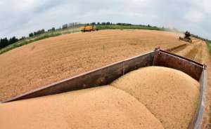 国际小麦正酝酿新一轮涨势？这2个消息值得细品！