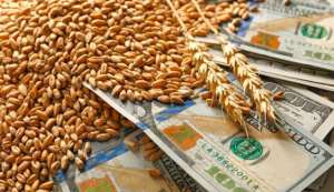 欧洲小麦市场一周聚焦：法国小麦价格下跌