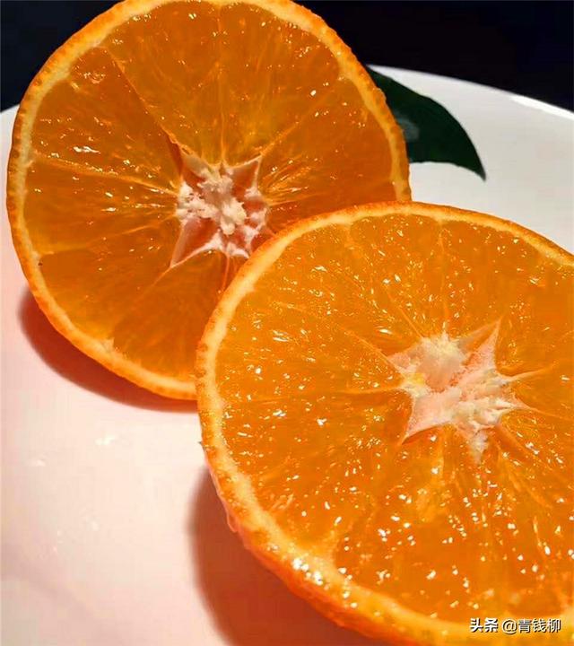 浙江台州红美人柑橘优质栽培技术
