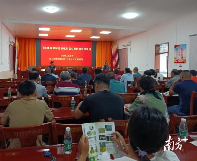 兴宁市刁坊镇举办“蔬菜绿色种植和病虫害防治技术”培训班