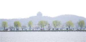 杭州适合种植的果树(杭州植物园经过三年多调查确定，这20种树和西湖最般配)