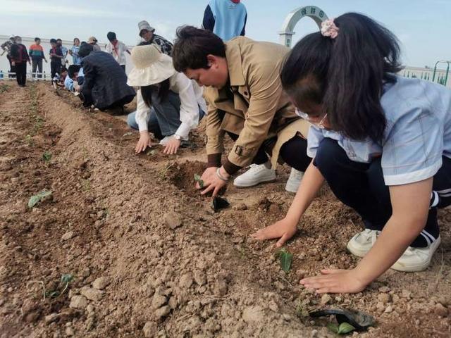 耕种正当时 不负好春光——大荔县第二实验小学开展蔬菜种植实践教育活动