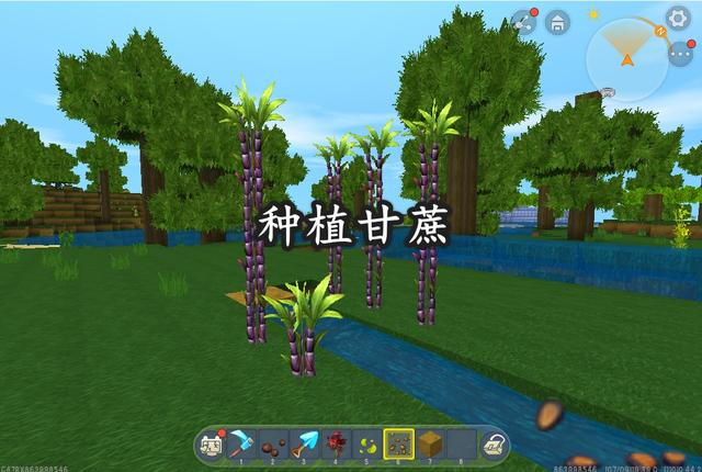 迷你世界：教你如何在游戏中种植，这三种植物不能错过