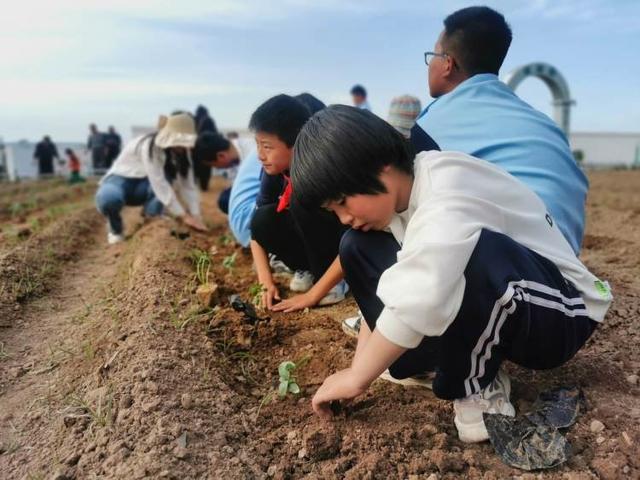 耕种正当时 不负好春光——大荔县第二实验小学开展蔬菜种植实践教育活动