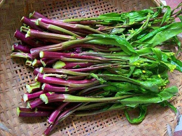 “金殿玉菜”红菜薹——与武昌鱼齐名的武汉名产，栽培技术详解