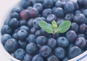 西安蓝莓种植(西农科技助推陕西蓝莓产业迈上“亿元”台阶)
