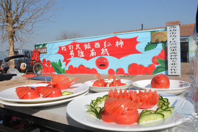 山东坊子：有机西红柿，结出“致富果”