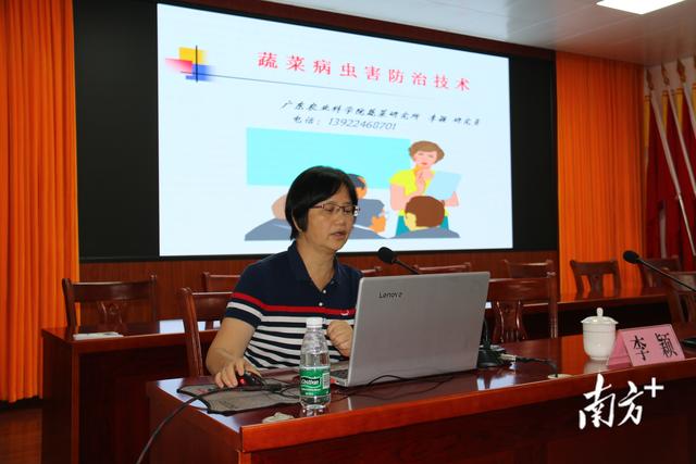 兴宁市刁坊镇举办“蔬菜绿色种植和病虫害防治技术”培训班