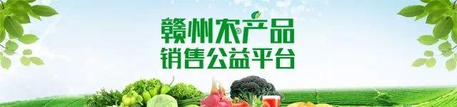 赣州市花生、油菜种植区域布局公布！