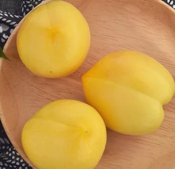 今年的桃子卖得特别贵！手把手教你如何从毛桃播种到稀有品种量产