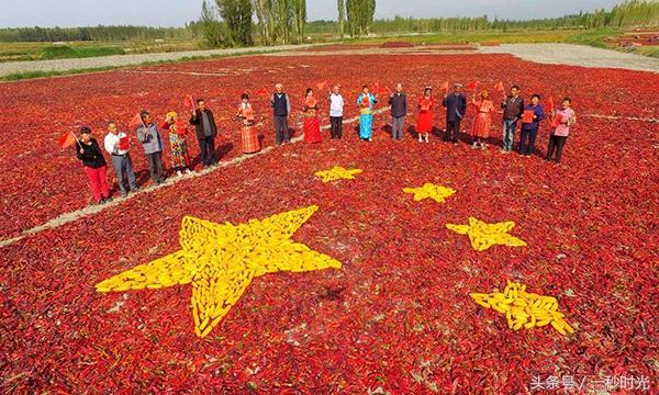 中国八大辣椒种植地，有一个地区最不会吃辣，却爱种辣椒！
