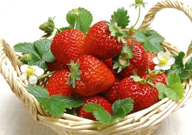 儿童画教程｜综合趣味画--草莓盆栽