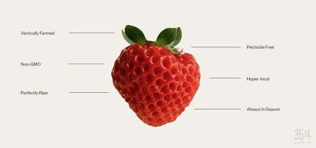 把草莓卖到5美元一颗，Oishii成功攻克垂直农场草莓种植难题