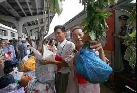 「荆州第二届网络水果节」松滋三峡移民栽种巫山李子，脆甜，39.9元4斤