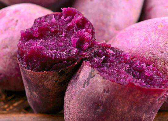 紫色品种红薯怎么种植，需要注意些什么，怎么提高产量