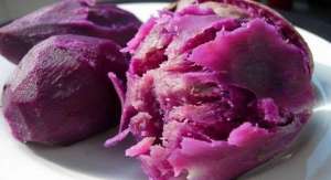 紫薯 种植土壤(种植紫薯学会这几招，紫薯又大又多，想要高产很简单)