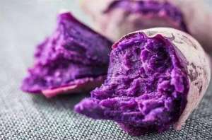 紫色红薯的种植(紫色品种红薯怎么种植，需要注意些什么，怎么提高产量)
