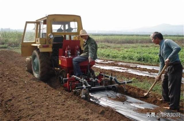 现代自动化农业机械设备，马铃薯种植和收获一条龙