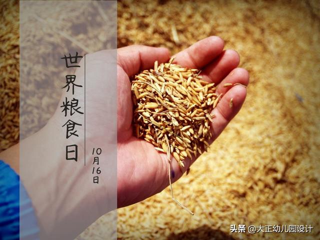 世界粮食日：一粒大米，需要经过多少道工序才能到我们的餐桌上