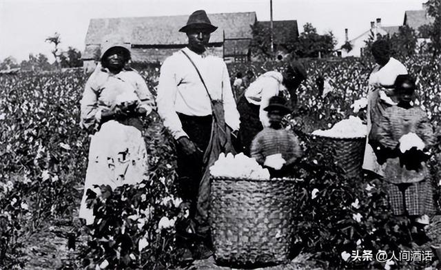黑奴的棉花种植园生活：摘棉花、吃猪肉和挨鞭子，每天工作18小时