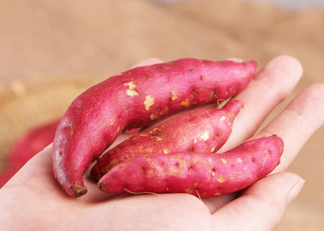 天目山小香薯在市场上为啥那么受欢迎？其它地方可以种植吗？