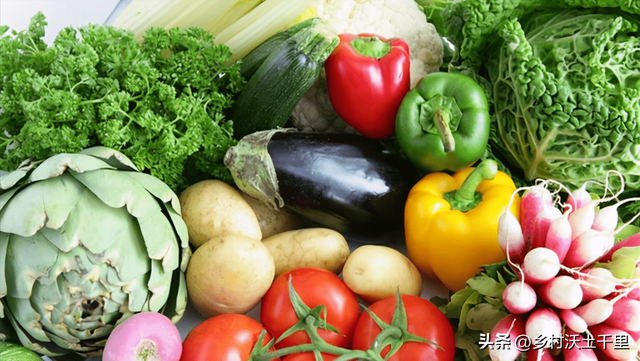 六月份种什么菜蔬菜最合适？这7种蔬菜，生长周期短产量高