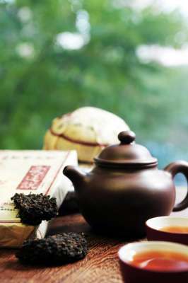 茶的种植季节-“一口鲜”来了这份全国“春茶上市时间表”请收好
