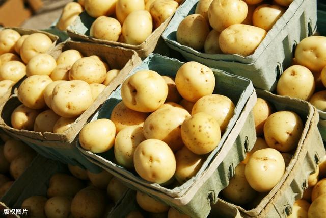 土豆种植4膜技术，与生长时期管理相结合，错峰上市增产提质