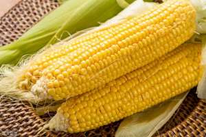 秋糯玉米种植-种植嫩糯玉米效益高，做好这几点，一年收获两季皮薄柔嫩的糯玉米