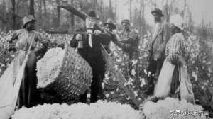 美国棉花种植技术-美国为啥非要用黑奴种棉花？